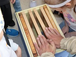 50269423611705888982023904805550596387142957n